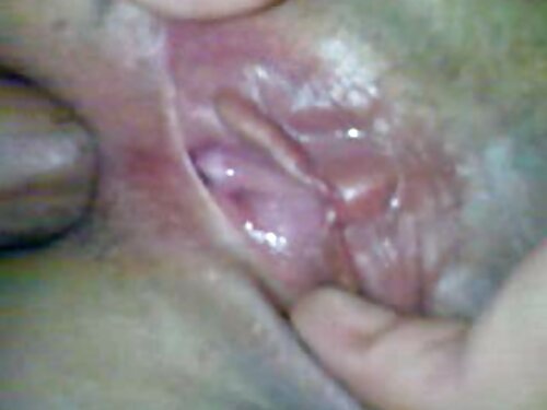 மேடிசன் ஈவி கவர்ச்சி ...